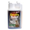 Devil´s Relief