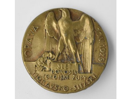 Slet dorostu sokolské župy Moravskoslezské, Opava 1926