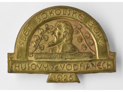 Slet sokolské župy Husovy ve Vodňanech 1925