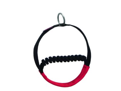 Snímek obrazovky 2026 01 22 144938