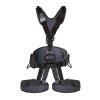 Postroj Singing Rock EXPERT 3D standard černý (Varianta M/L)