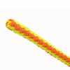trex orange gelb core shot 1