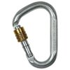 Steel carabiner CT Climbing Technology SNAPPY STEEL SG