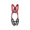 Harness CAMP Basic Duo