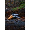 Pocketboy curve series atmospheric 2
