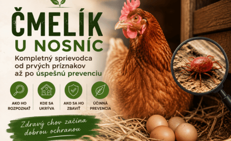 Čmelík u nosníc: Kompletný sprievodca od prvých príznakov až po úspešnú prevenciu