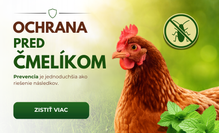 Ochrana nosníc pred čmelíkom pomocou prírodných produktov pre hydinu.