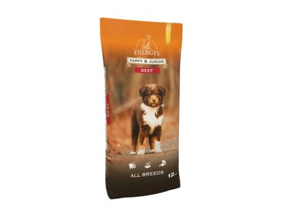 Premium Puppy & Junior All Breeds Beef 12 kg