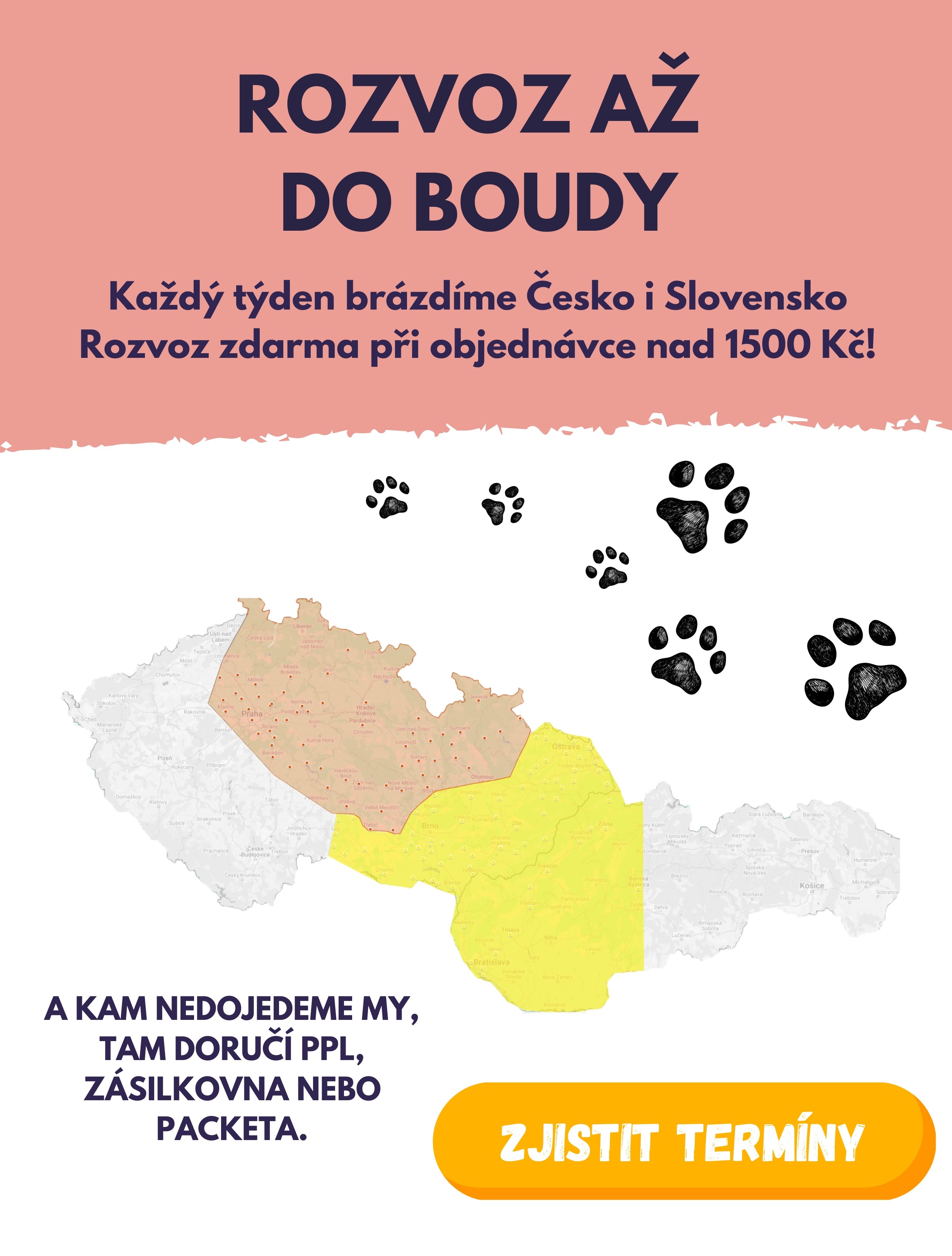 Pohled do chladicího auta připraveného na rozvoz