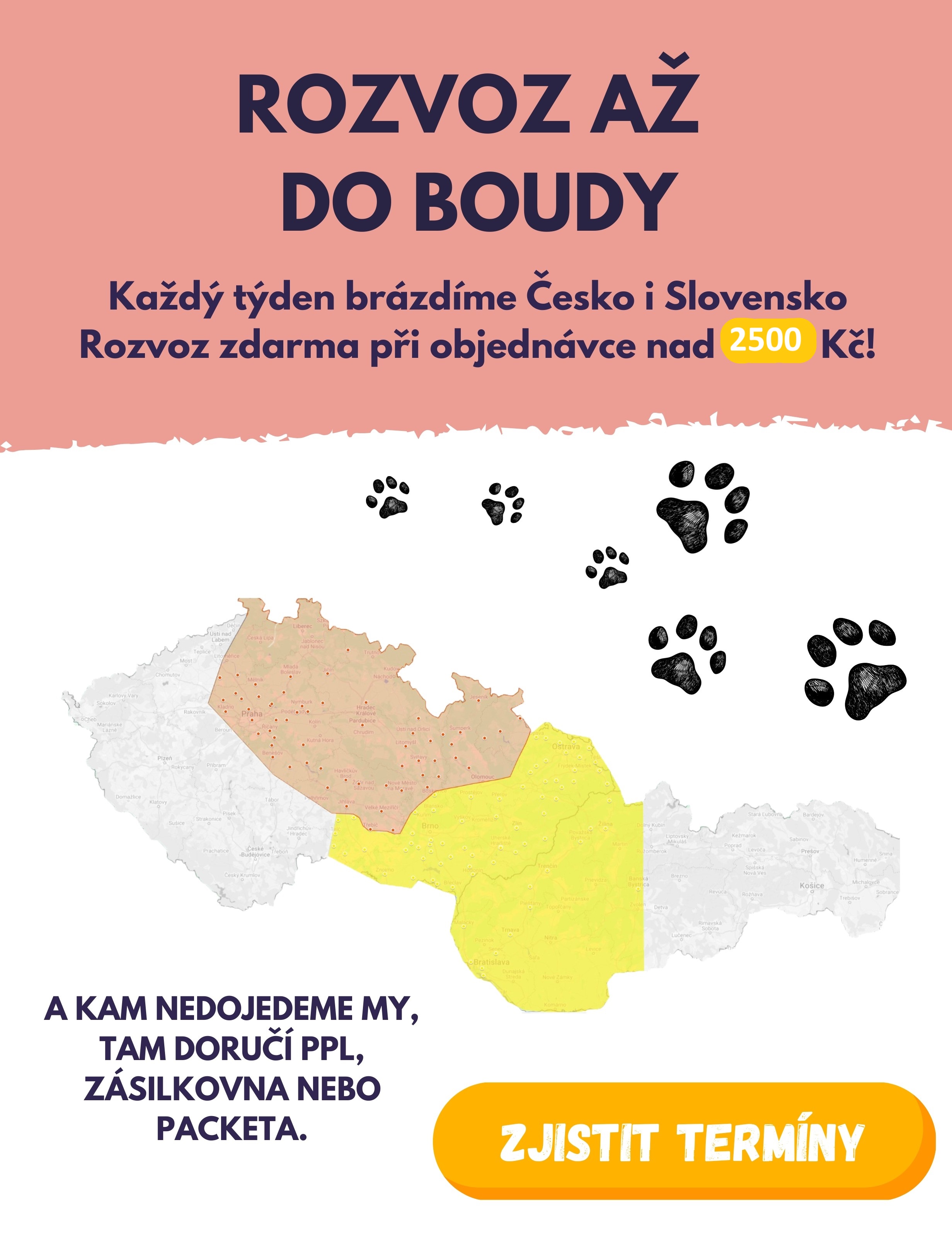 Pohled do chladicího auta připraveného na rozvoz