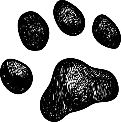 dog-paw-print-sketch-vector-31656631