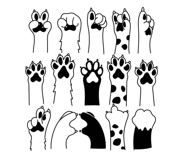 doodle-dogs-cute-paws-pet-600nw-2491498057