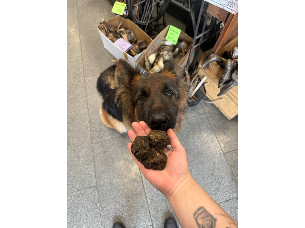 Messenger creation 55306AA2 83A6 4AD5 9589 3F9B218E66EB