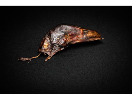 file 0000000017a0720a886e23b24991d402