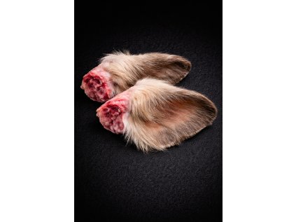 file 00000000f91c72439994e577a0bb69b4