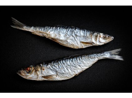 file 000000008be47243afe30d8ca942eb96