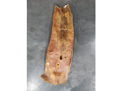 Aorta sušená - řezaná (cca 15-20cm)