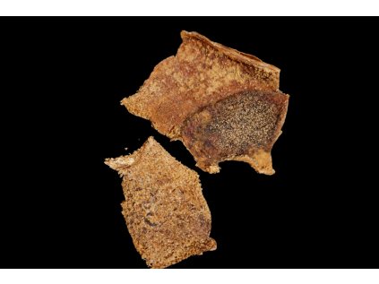 file 0000000032a871f4878f267765df2337