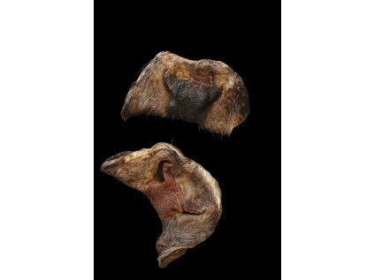 file 00000000dfd861f4b7dd6be1fd2cdfbf