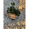 Gräfin Elke zu Rantzau
