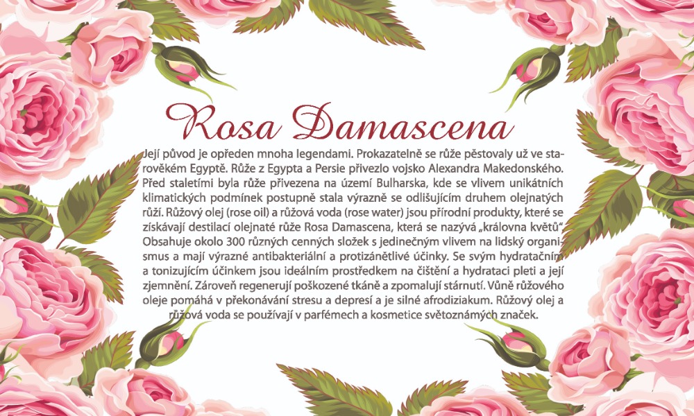 Ruze damascena