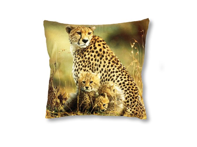 gepard