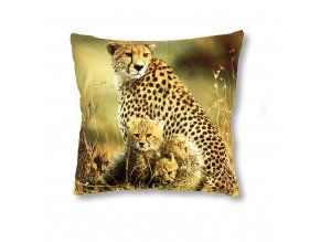 gepard