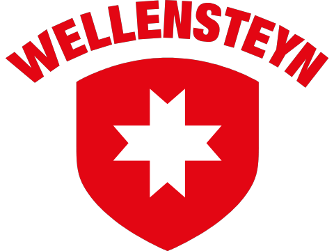Wellensteyn logo