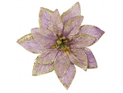 vianocna ruza fialova 14 cm