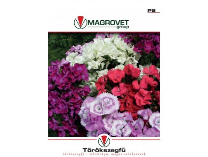 klincek bradaty plnokvety nizky zmes farieb