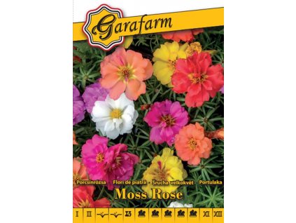 portulaka zmes farieb