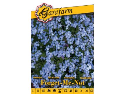 nezabudka zahradna forget me not modra