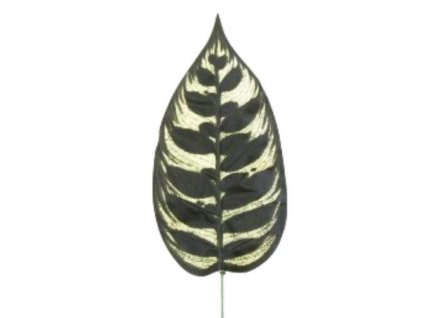 umely list calathea 47 cm