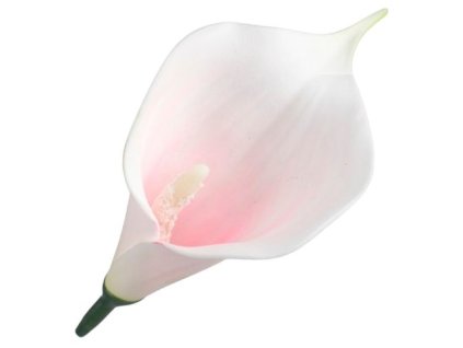 umela kala bieloruzova 13 cm