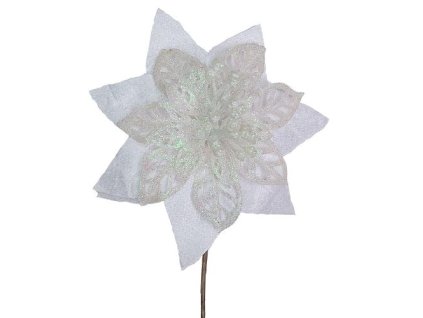 vianocny kvet biely zapich 24 cm