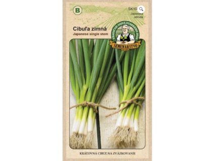 cibula zimna japonska odroda