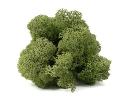 stabilizovany mach zeleny 100 g