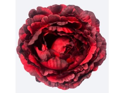 umela kamelia bordova 10 cm