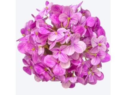 umela hortenzia ruzova 15 cm