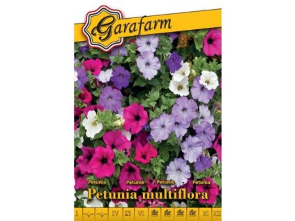 petunia nizka zmes farebna zmes pre zahony aj balkony