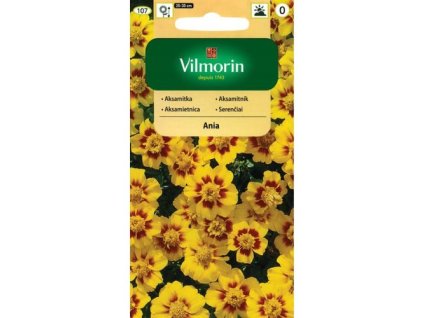 aksamietnica jednoducha ania 1 g