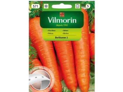 mrkva neskora berlikumer 2 vysevny pasik 7 m vilmorin