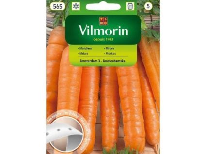 mrkva skora amsterdam vysevny pasik 7m vilmorin