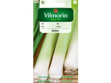 por zimny elefant 2 g