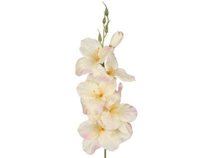 gladiola G190K 03F