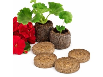 raselinove tablety jiffy priemer 3 7 cm