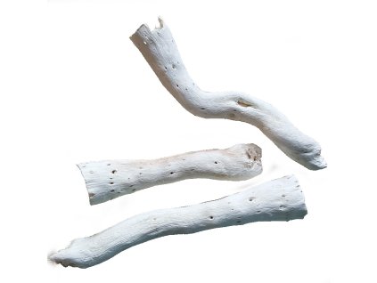 3534 koren copi cone bieleny