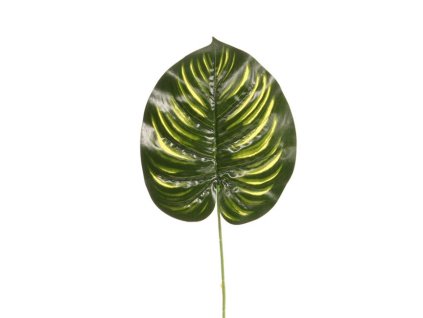 5982 filodendron list 39 cm