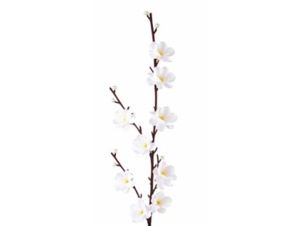 jablon kvet 01 51 cm