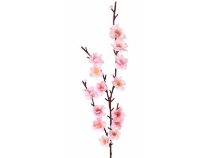 jablon kvet 03 51 cm